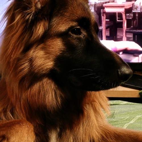 Photo #11029716