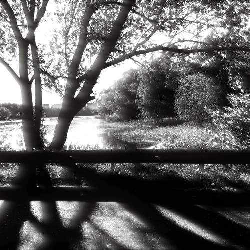 Photo #11029789
