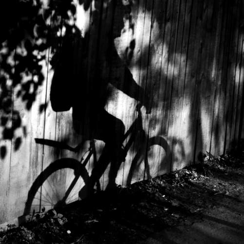 Photo #11029861