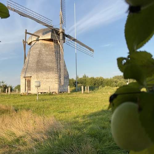 Photo #11030147