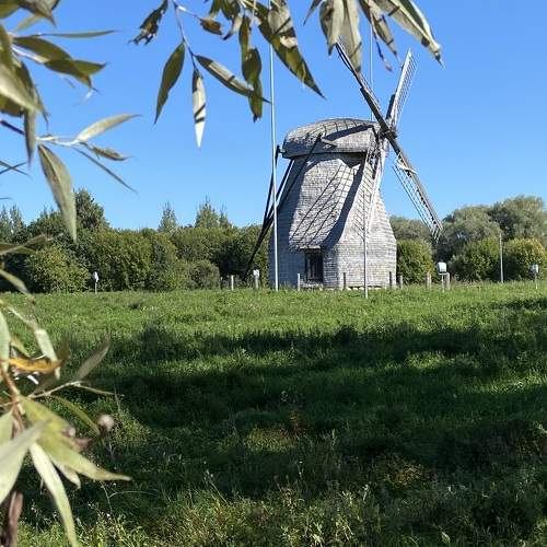 Photo #11030148