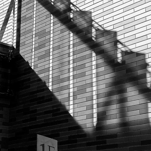 Photo #11030156
