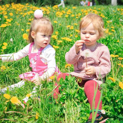 Photo #11030292
