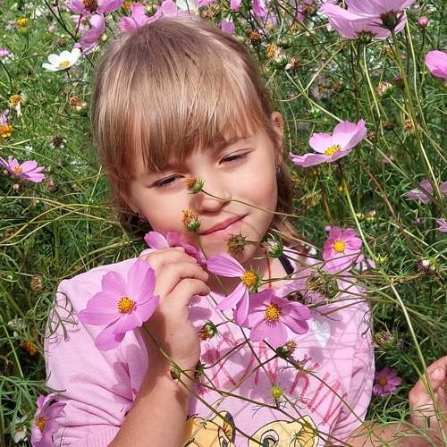 Photo #11030293