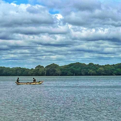 Photo #11030558
