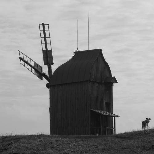 Photo #11030768