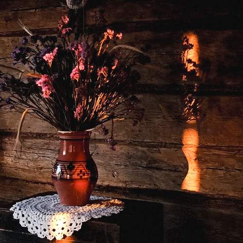 Photo #11031459