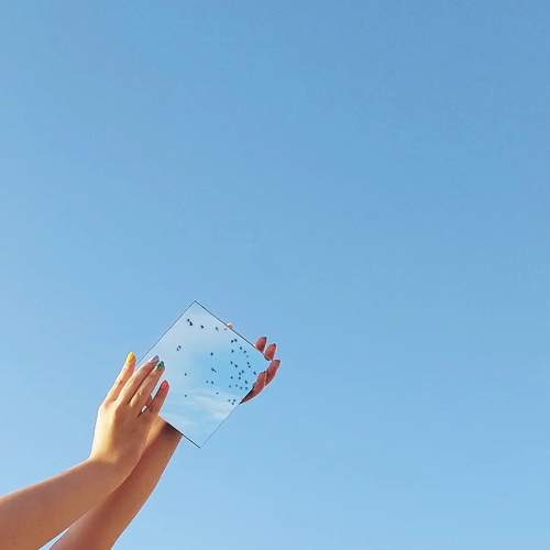 Photo #11031553
