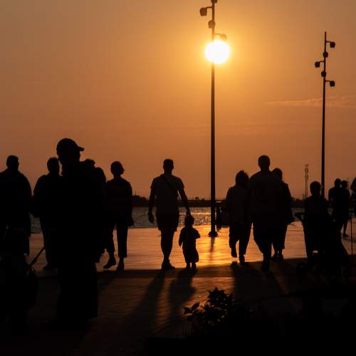 Photo #11031556