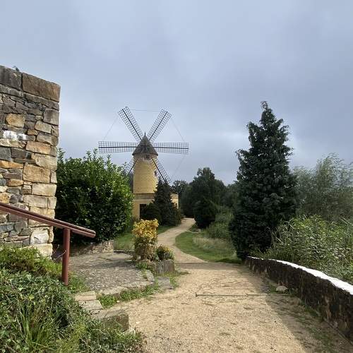 Photo #11031597