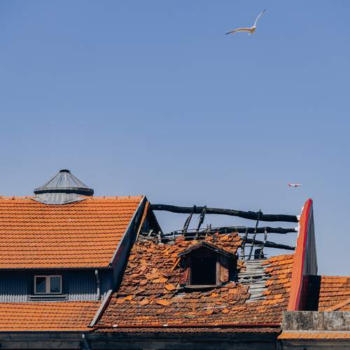 Photo #11031646