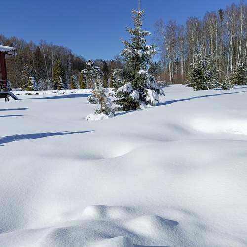 Photo #11031676