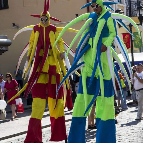 Photo #11032310