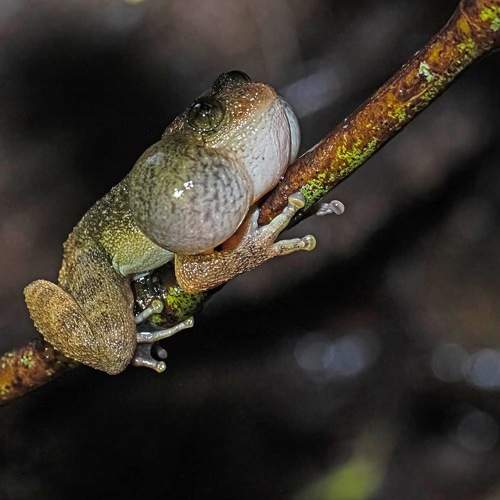 Photo #11032456