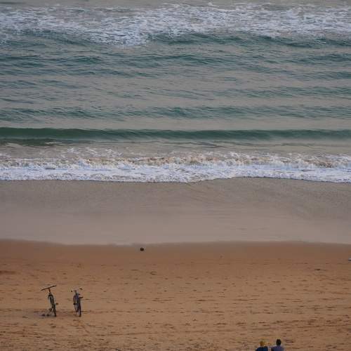 Photo #11032525