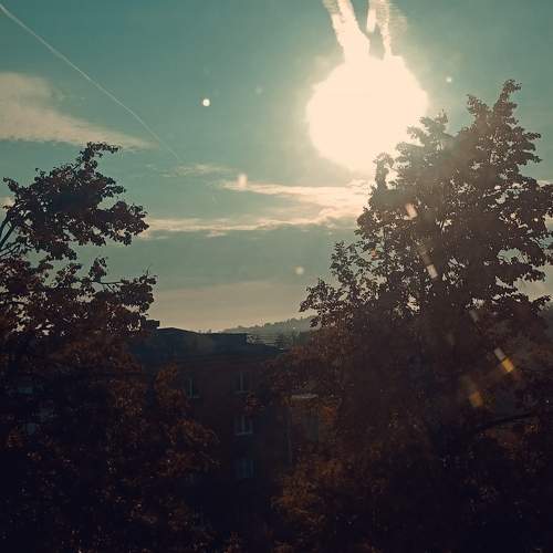 Photo #11033075