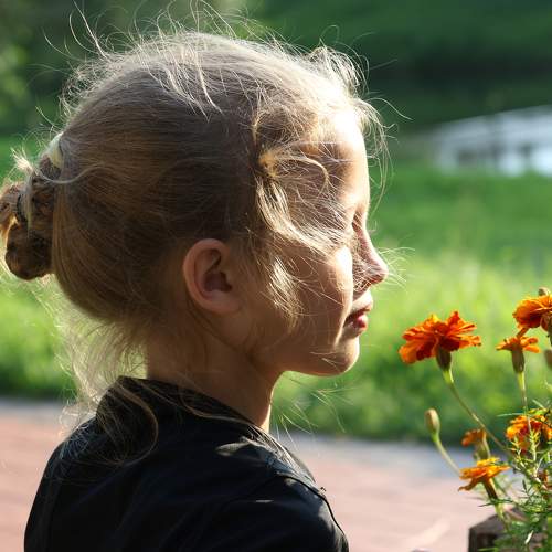 Photo #11033137
