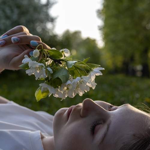 Photo #11033165