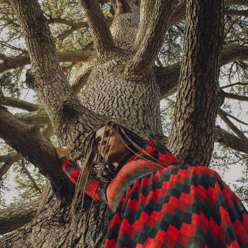 Photo #11033220