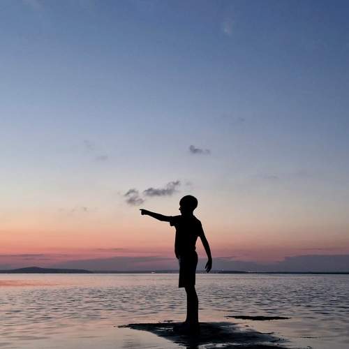 Photo #11033333