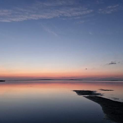 Photo #11033366