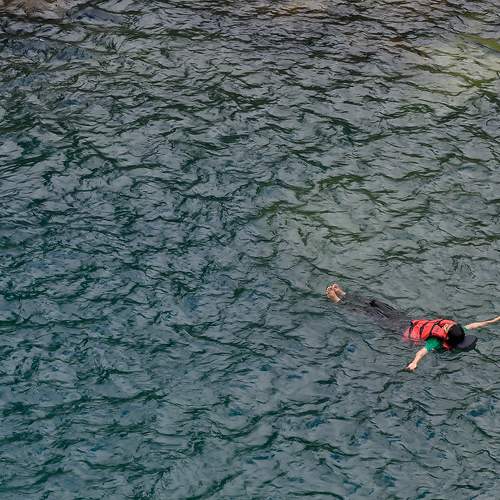 Photo #11033619