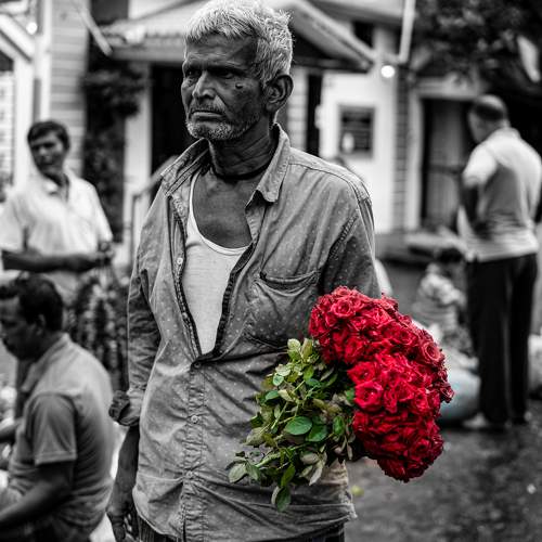 Photo #11033649