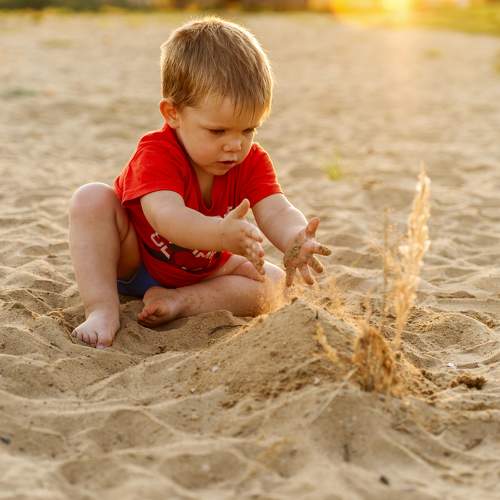 Photo #11033745