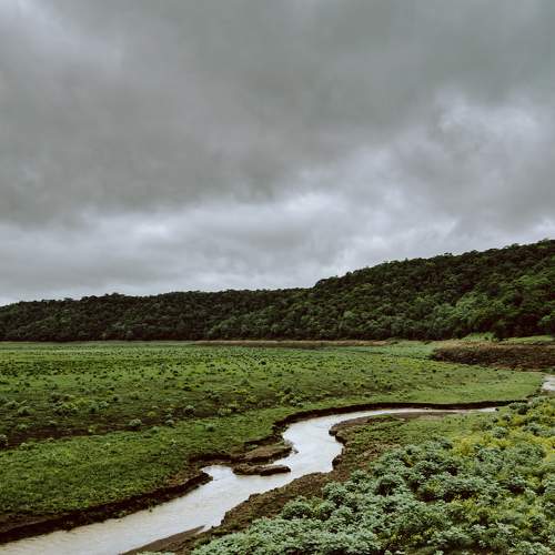 Photo #11034110