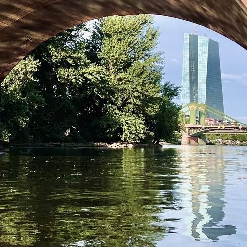 Photo #11034391