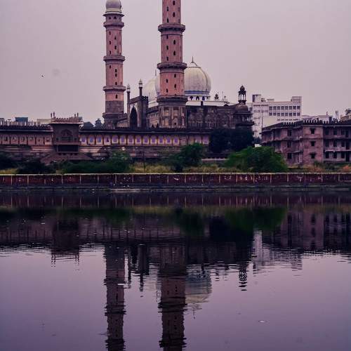 Photo #11034487