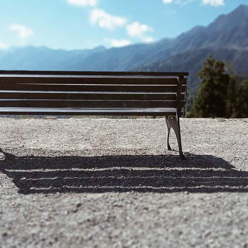 Photo #11034931