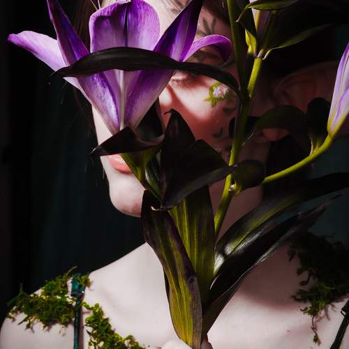 Photo #11035004