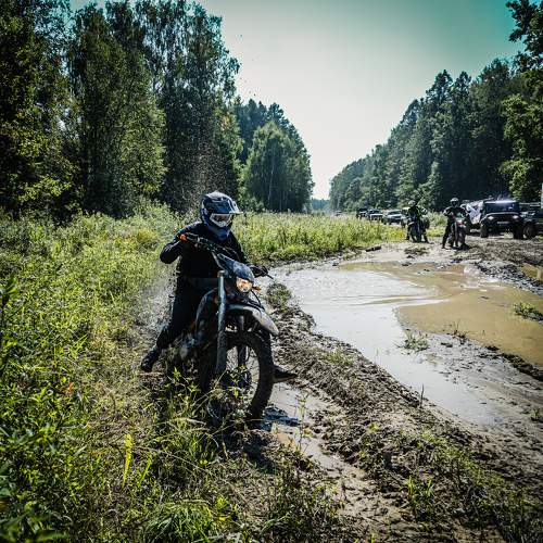 Photo #11035046