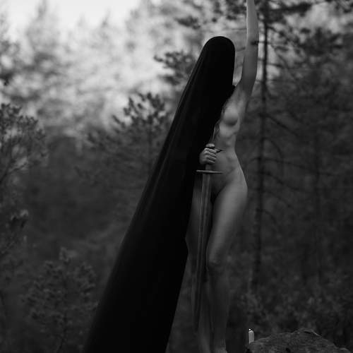 Photo #11035053