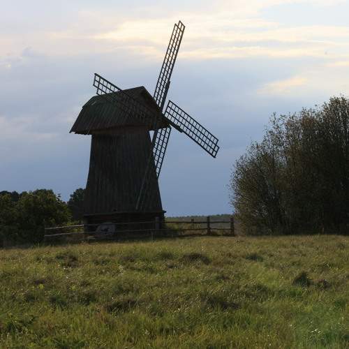 Photo #11035149