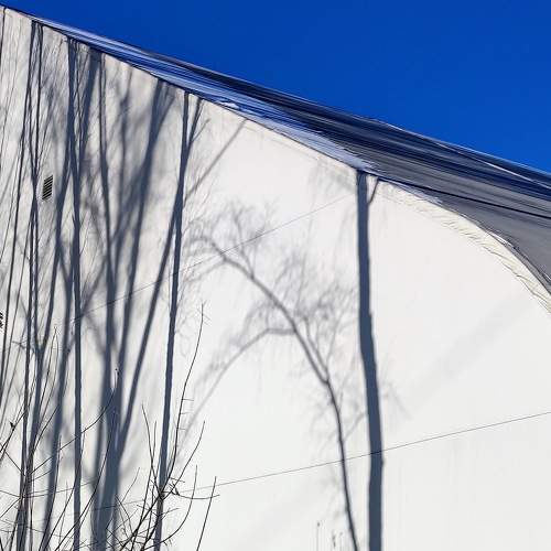 Photo #11035503