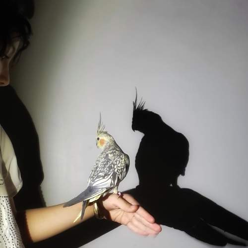 Photo #11035817