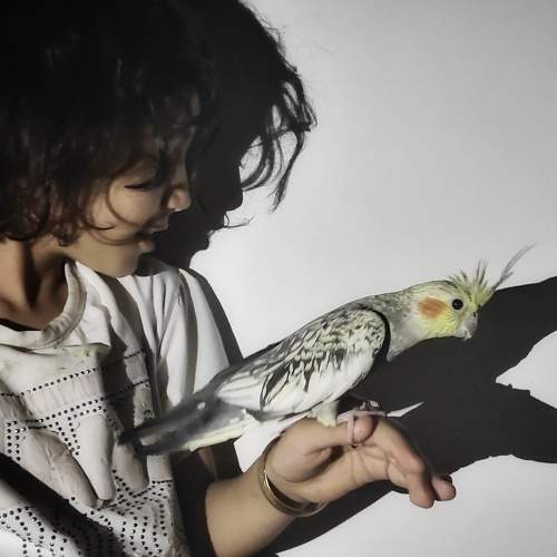 Photo #11035820