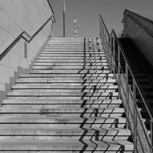 Photo #11035821