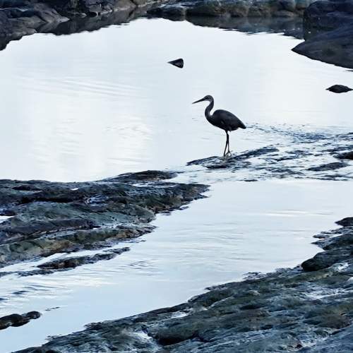 Photo #11036169