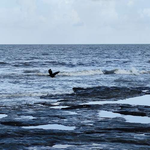 Photo #11036174