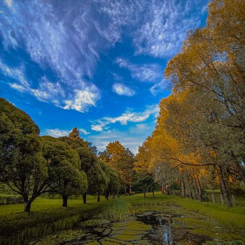 Photo #11036394