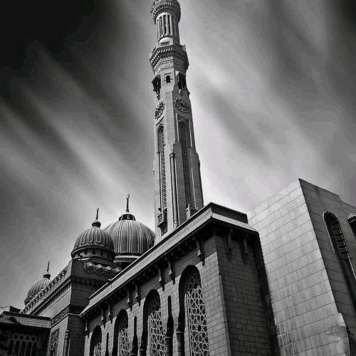 Photo #11036623
