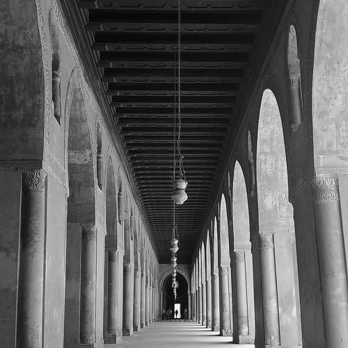 Photo #11036625