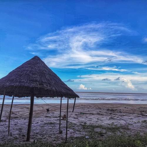 Photo #11036816