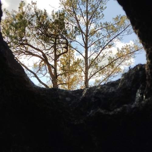 Photo #11036906