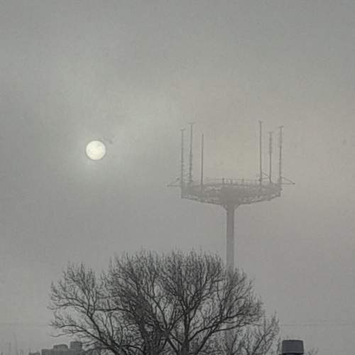 Photo #11036995