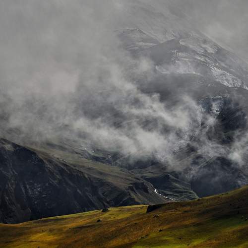 Photo #11037136