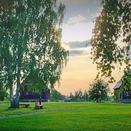Photo #11037260